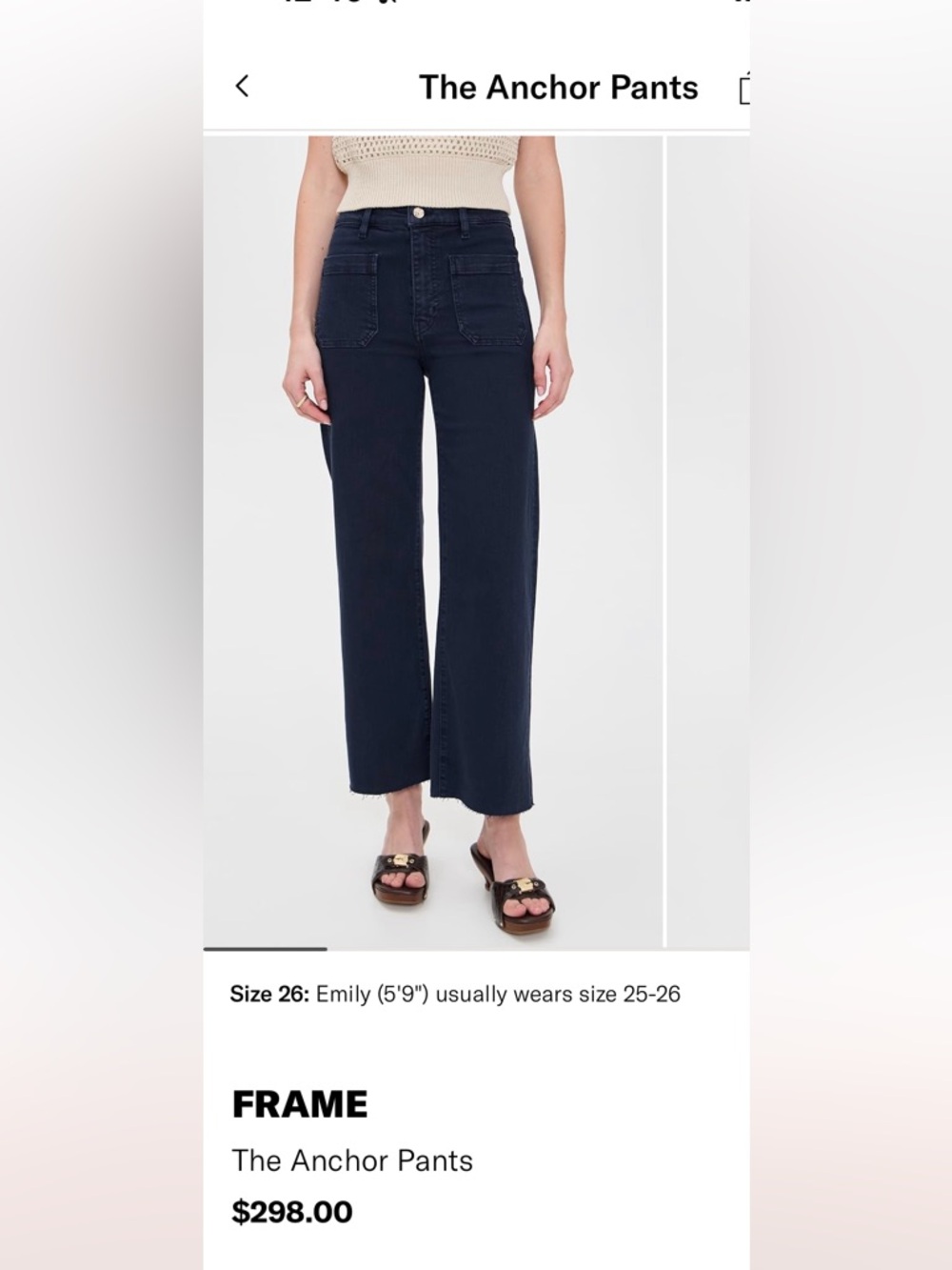 Frame Anchor pants